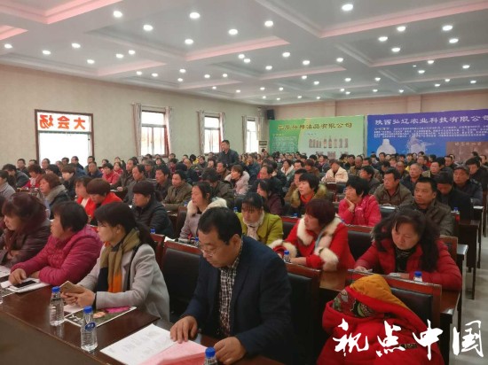 <a href=https://www.shidiannet.com/zt/shaanxi/ target=_blank class=infotextkey>陕西</a>电商进农村—走进临渭区