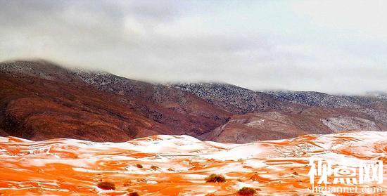 撒哈拉沙漠近40年首下雪 美美哒雪景图