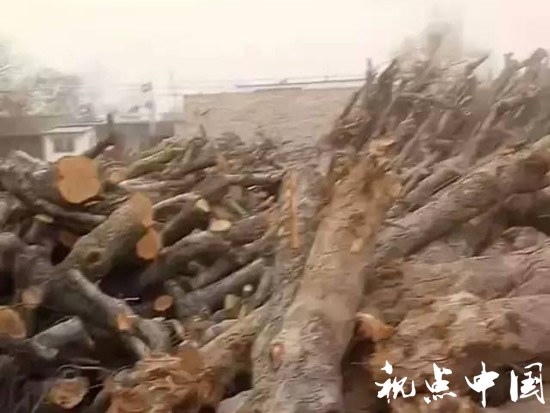 国家明令禁止的土法木炭窑在<a href=https://www.shidiannet.com/zt/shaanxi/ target=_blank class=infotextkey>陕西</a>韩城依然猖獗