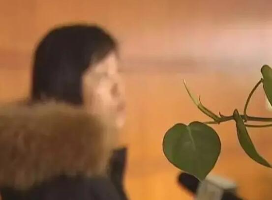 南京女子花68万欲"返老还童" 结果仅被摸10次脸