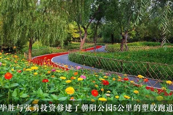 李彦宏重用他，雷军支持他......创业路上，他却败了