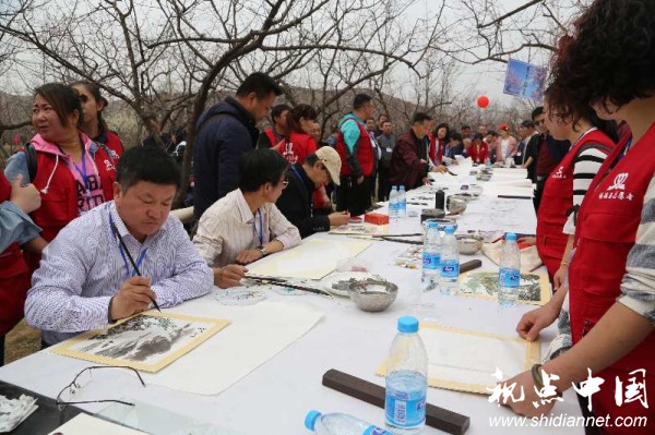 绥德县首届杏花旅游文化节在石家湾镇花家湾村拉开帷幕