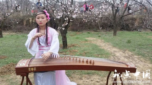 绥德县首届杏花旅游文化节在石家湾镇花家湾村拉开帷幕