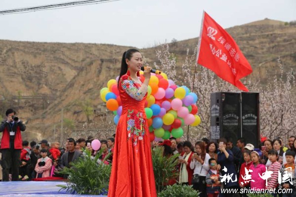 绥德县首届杏花旅游文化节在石家湾镇花家湾村拉开帷幕