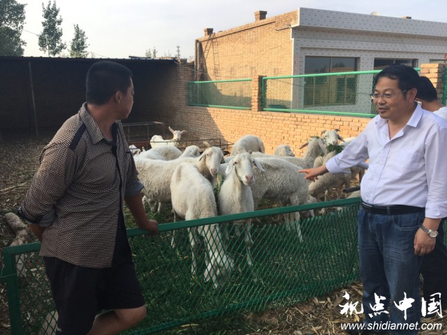 20年坚守基层一线 将简单的事情用心做