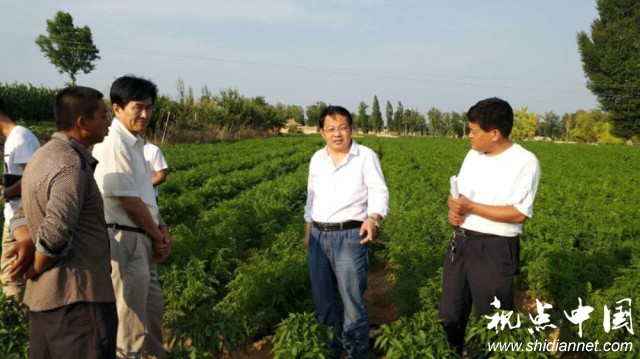 20年坚守基层一线 将简单的事情用心做