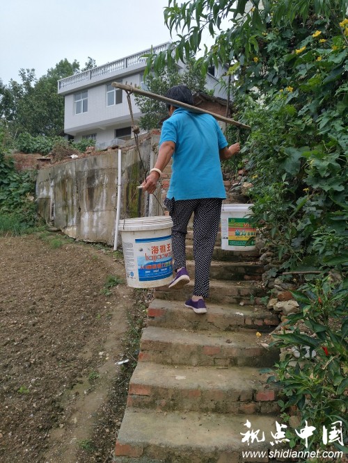 <a href=https://www.shidiannet.com/zt/shaanxi/ target=_blank class=infotextkey>陕西</a>安康汉滨区一对六旬农村夫妇遭遇生存危机:出门没有路 吃水全靠挑