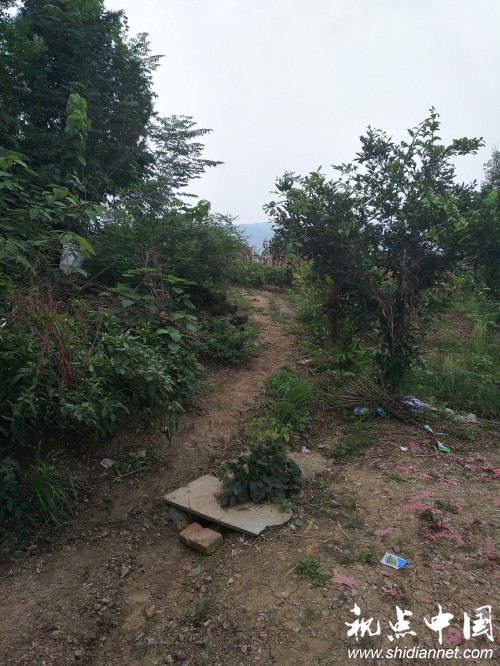<a href=https://www.shidiannet.com/zt/shaanxi/ target=_blank class=infotextkey>陕西</a>安康汉滨区一对六旬农村夫妇遭遇生存危机:出门没有路 吃水全靠挑