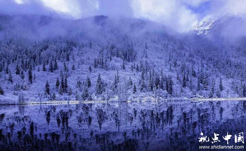 10月飘雪 四川阿坝大雪纷飞云遮雾绕美不胜收