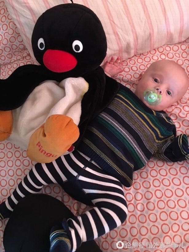 女子抱怨胖了 发现怀孕四小时后生娃