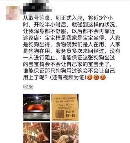 火锅店人和狗同吃 狗当众舔食餐盘无人管