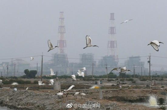 <a href=https://www.shidiannet.com/GB/taiwan/ target=_blank class=infotextkey>台湾</a>“行政院”:冬季空气污染物主要是大陆飘来的