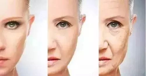 &ldquo;僵尸肉&rdquo;吃了毁肠胃易生病 你家冰箱可能就有