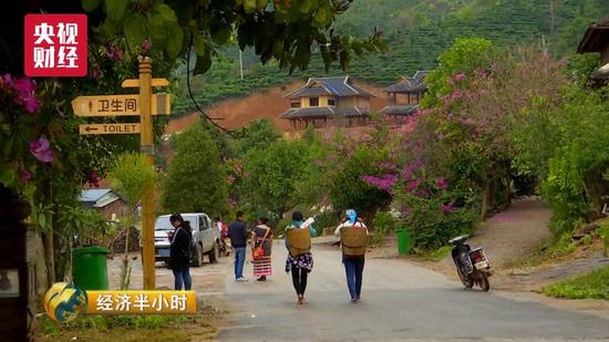 云南普洱市老达保村一村村民人人开&ldquo;演艺公司&rdquo; 光分红就是200多万