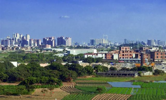 2017年度十大语文差错公布 连董卿都读错了