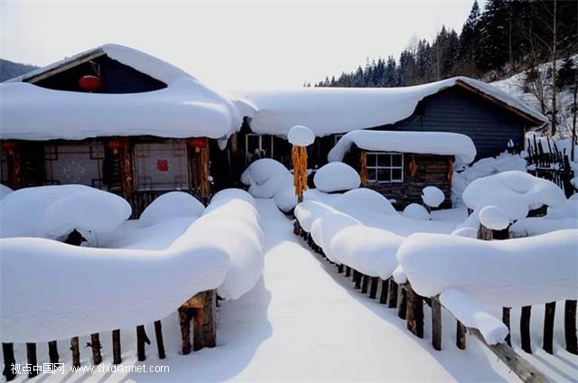 雪乡风波持续发酵 旅游市场监管究竟难在何处？