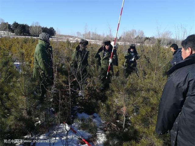 神木市林木种苗工作站认真做好苗木统征工作