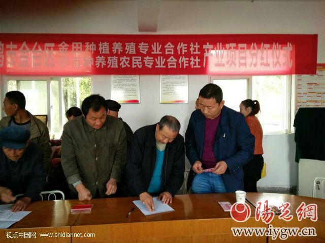 宝鸡十佳农民专业合作社北庵村金田种养殖合作社发展纪事