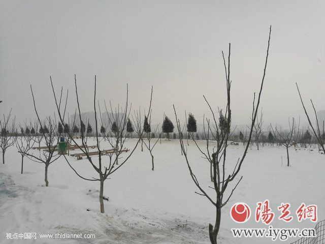 宝鸡十佳农民专业合作社北庵村金田种养殖合作社发展纪事