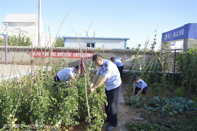 延安铁警王岳政：大漠铁路线上的“老黄牛”