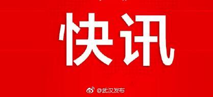 马国强当选武汉市人大常委会主任 周先旺当选市长