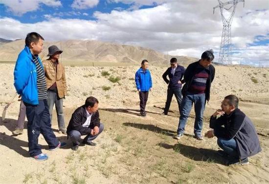 榆林援藏&ldquo;80后&rdquo;薛久洲：我在西藏种柠条