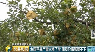 &ldquo;疯狂的苹果&rdquo;再上演？去年能吃3个的价格今年只能吃1个