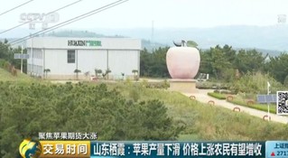 “疯狂的苹果”再上演？去年能吃3个的价格今年只能吃1个