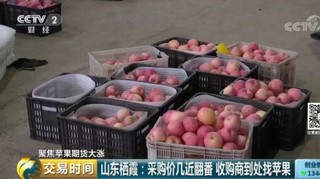 “疯狂的苹果”再上演？去年能吃3个的价格今年只能吃1个