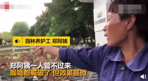 杭州滨江江边公园粉黛草被抖音打卡折腾的让人心疼