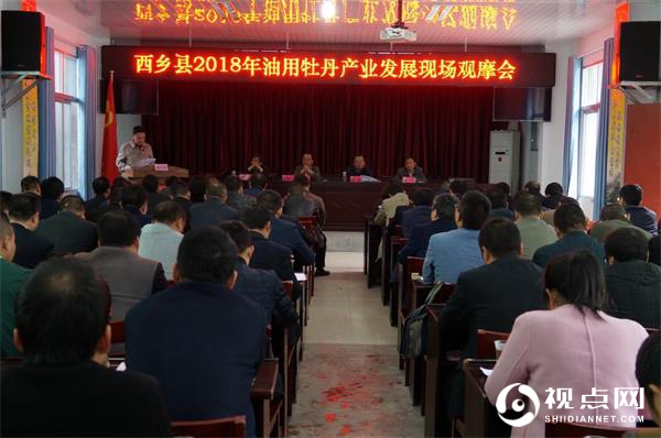 汉中西乡县堰口镇狠抓油用牡丹产业发展促脱贫