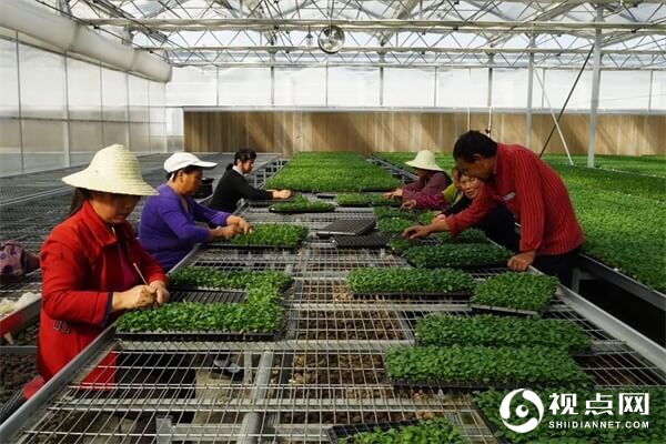 &ldquo;美丽中国梦 生态中国行&rdquo;丨媒体团深入西安秦汉新城采风