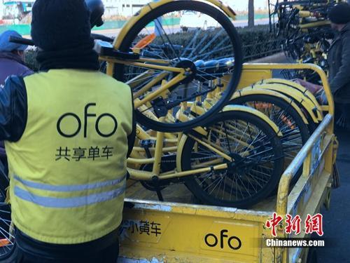 资料图：ofo运维人员在执行作业。中新网 吴涛 摄