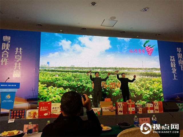 临渭果品亮相粤陕合作·2019<a href=https://www.shidiannet.com/zt/shaanxi/ target=_blank class=infotextkey>陕西</a>苹果粤港澳大湾区（广州）宣传推介会