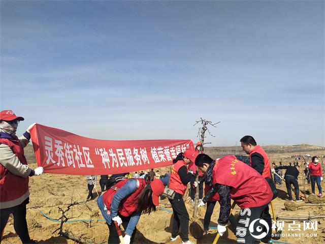 榆阳区灵秀街社区“种为民服务树 植荣誉幸福林”义务植树活动