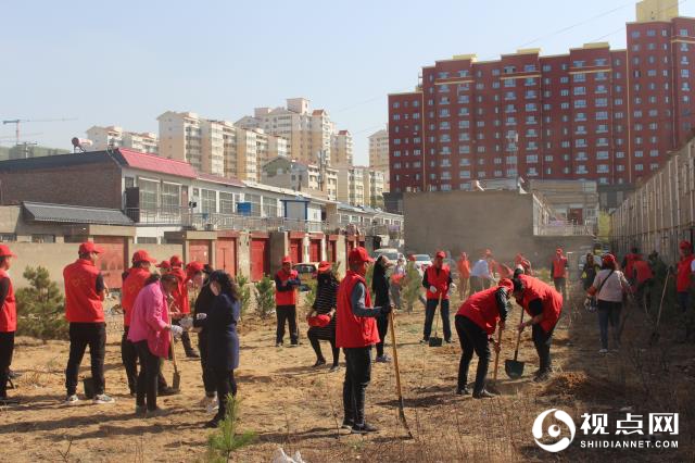 榆阳区驼峰办兴中路社区开展“共创森林城市 同添一抹新绿”植树活动