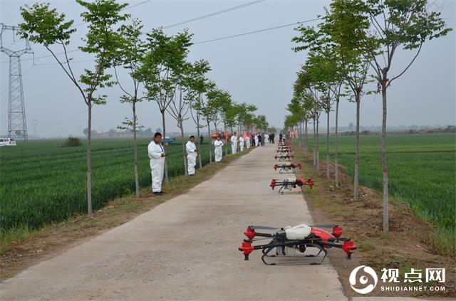 渭南市临渭区召开小麦中后期重大病虫防控现场会