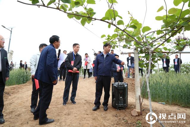 渭南市临渭区人大视察全区农业产业化工作