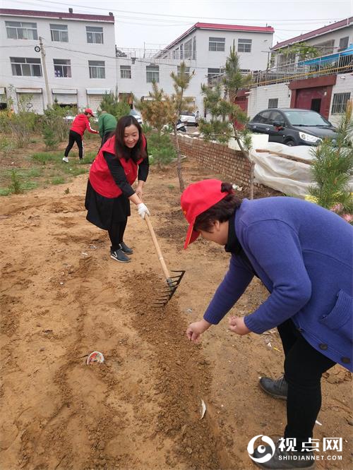 榆阳区驼峰办兴中路社区：一场春雨后 社区种花忙