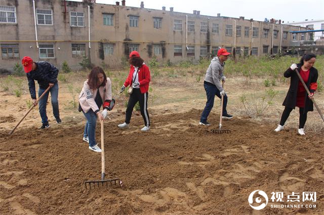 榆阳区驼峰办兴中路社区：一场春雨后 社区种花忙