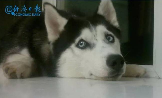 5月起这些新规将正式实施 看看哪些与你有关？