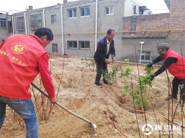 榆阳区新明楼街道办八狮社区因地制宜植树种花草