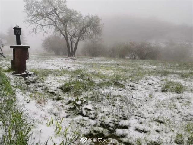 立夏刚过<a href=https://www.shidiannet.com/GB/chongqing/ target=_blank class=infotextkey>重庆</a>迎10小时降雪 网友：说好的立夏呢？