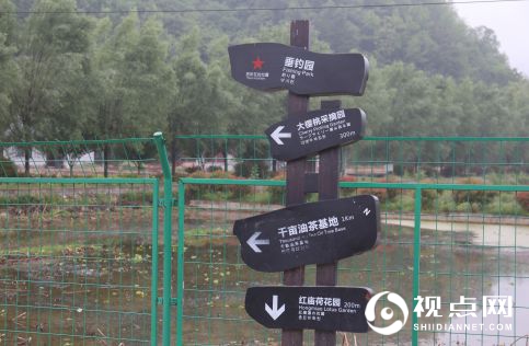 曹戈养生谷：隐于山水之间的养生避暑胜地