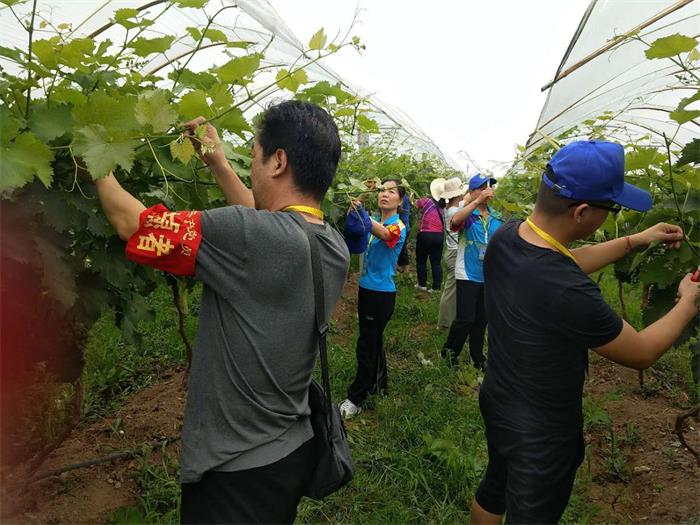 党建引领能力提升 科技助力乡村振兴