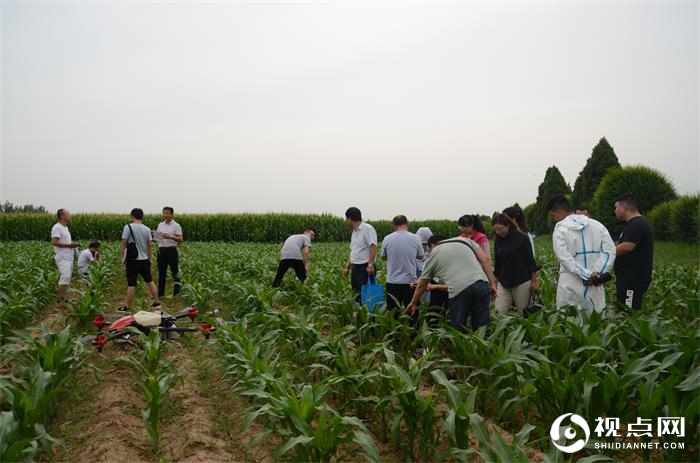 渭南市临渭区召开玉米草地贪夜蛾防控现场会