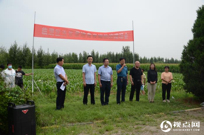 渭南市临渭区召开玉米草地贪夜蛾防控现场会