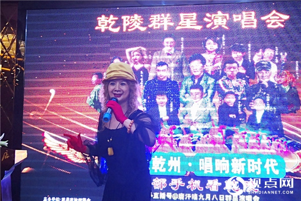 唐汗隆“一部手机看乾陵”群星演唱会新闻发布会成功举办