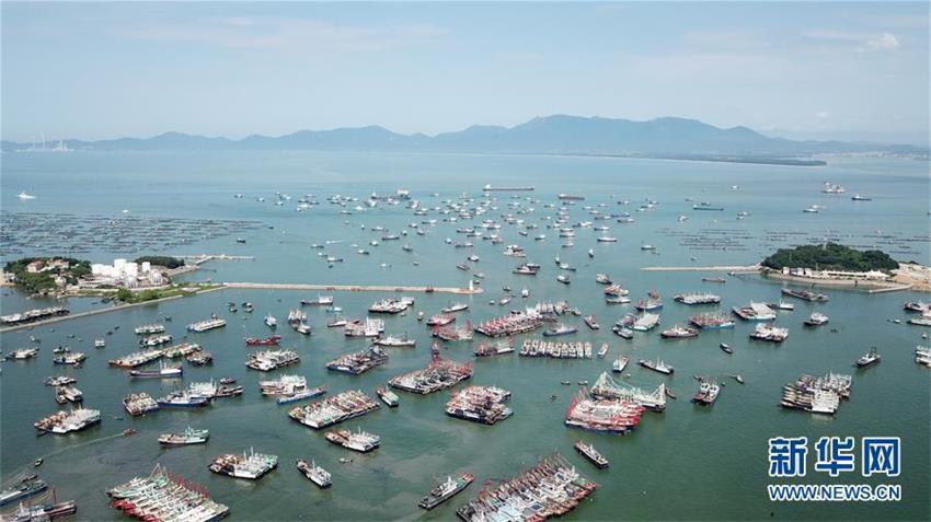 渔港里的渔船准备出海(8月16日无人机拍摄)。 8月15日至16日,第17届南海(阳江)开渔节于在广东阳江海陵岛举行。今年的南海休渔期也在16日正式结束,这一天,渔民们再次开始了在渔船上的辛勤劳作,向广阔的大海进发。