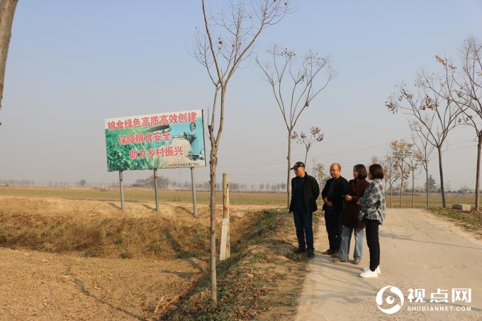 渭南市农技中心一行来临渭区指导与调研小麦冬前田间管理